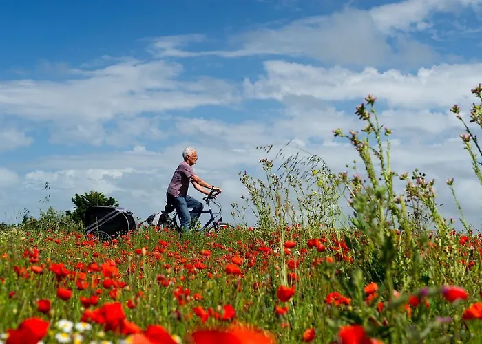 Hotel Atlantic Landgut Horn 4*